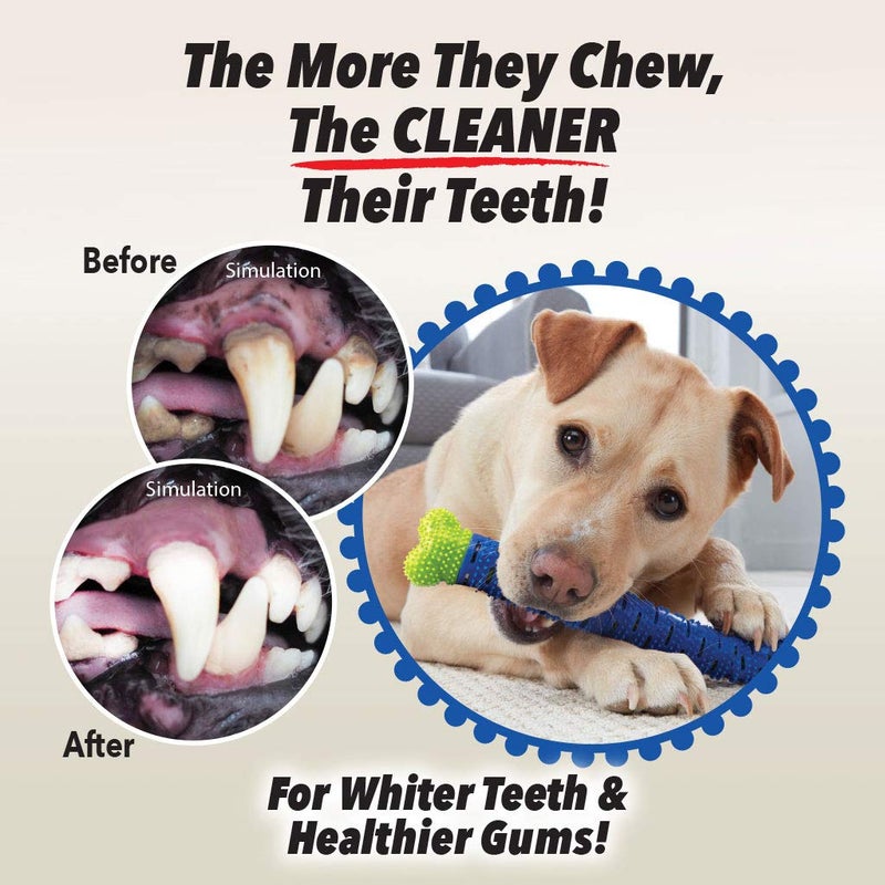BulbHead Chewbrush Toothbrush and Toy - No Dog Toothpaste Required - Great Teeth Cleaning Toy (1 Pack) - Image 5
